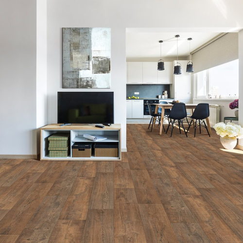 Aus Floors & More providing pet-friendly waterproof vinyl flooring in Granite, MN - Titan Umber