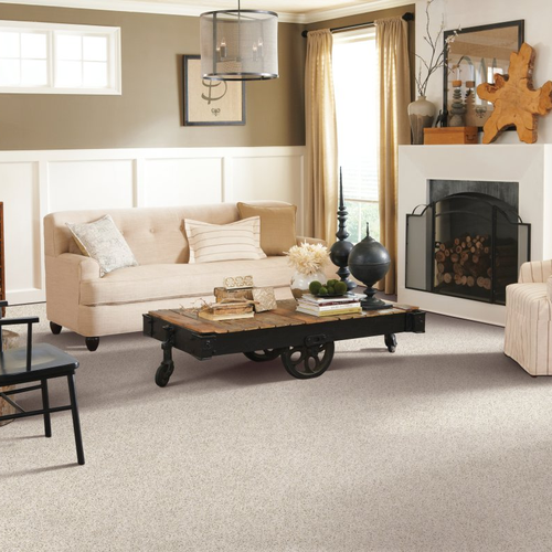 Aus Floors & More providing stain-resistant pet proof carpet in Granite, MN - Restful Style-Catalina